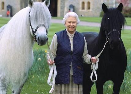 Re Carlo III vende i cavalli amati da Elisabetta II, all'asta 12 campioni