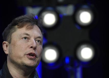 Twitter, che disastro Elon Musk: crolla la raccolta pubblicitaria (-59%)