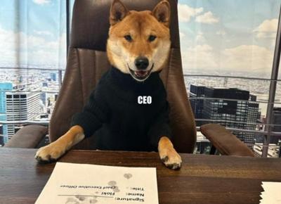 Floki cane Elon Musk