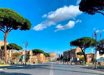 Roma, domenica 2 ottobre è un viaggio nella storia: tutti i musei gratis