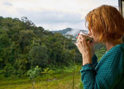 Giornata mondiale acqua, Wwf: bastano 50 litri per vivere, ne consumiamo 230