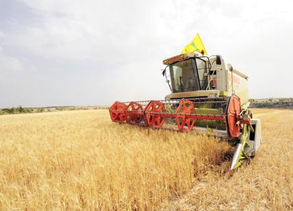 Ucraina, grano e mais sfondano quota 400 euro. Record in Italia per la guerra