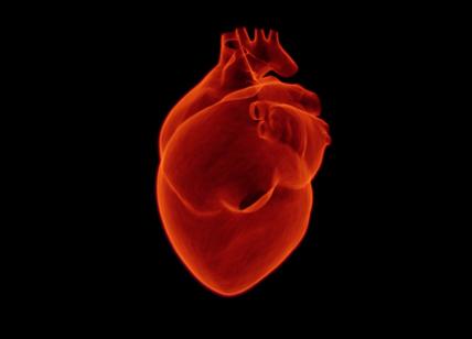 Gli italiani conoscono poco i rischi cardiovascolari e sono pieni di stress