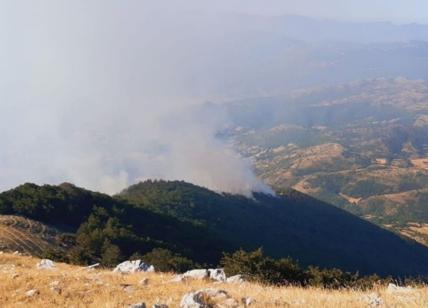 Incendio Ciociaria, le fiamme minacciano il Parco Nazionale: la causa è l'uomo
