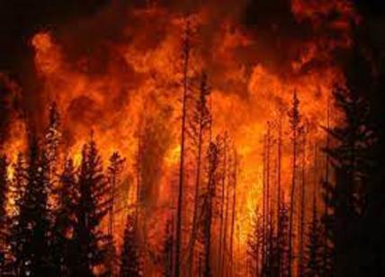 Incendi boschivi, scatta l'allerta rossa in Lombardia