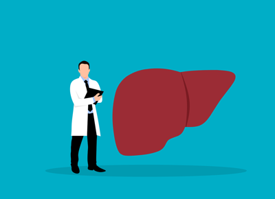 liver gbd59cce0d 1280