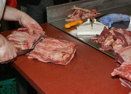 Cremona, "chiudevano un occhio" su carni con listeria: arrestati 2 veterinari