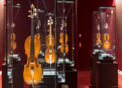 Cnr e Politecnico studiano gli Stradivari alla ricerca del suono perfetto