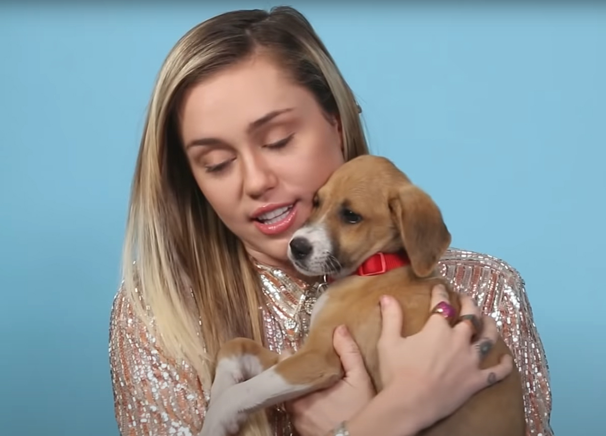 Miley Cyrus Miley Cyrus