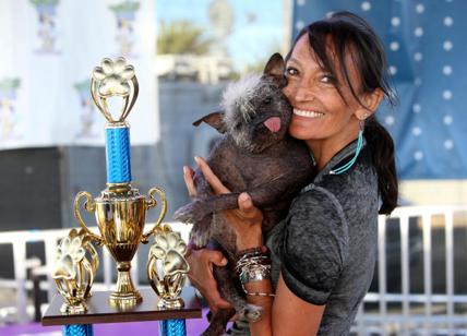 Mr Happy Face vince il concorso di cane più brutto del mondo 2022