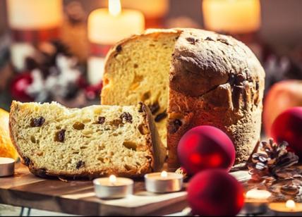 Natale, insetti e parassiti nei panettoni: sequestrate tonnellate di dolci