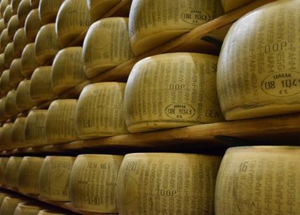 Parmigiano Reggiano sequestrato, allarme dai Nas: ecco cosa non andava