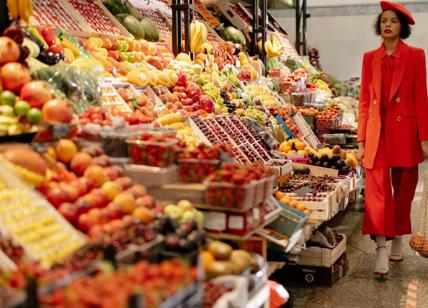Istat, venti di ottimismo a novembre: sale la fiducia di imprese e consumatori