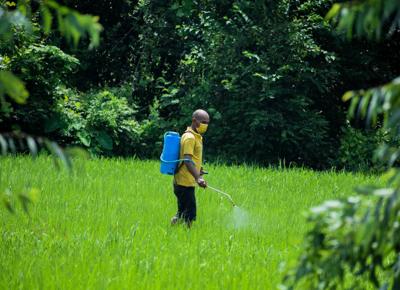 Agricoltore spruzza pesticida su raccolto