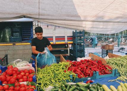 Ucraina, la guerra costa tantissimo. Stangata da 8,1 miliardi a tavola