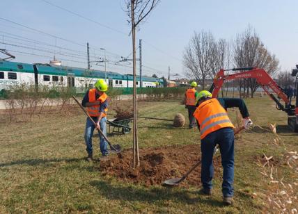 Ferroviernord: con “Piantalalì” migliaia di alberi lungo la rete ferroviaria