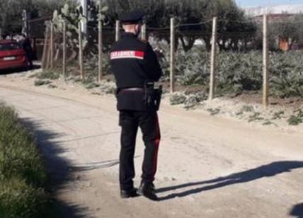 Licata, "ho risolto, li ho ammazzati tutti". Strage per un campo di carciofi