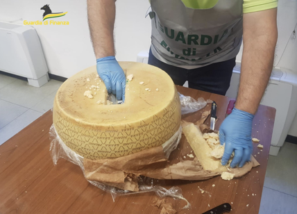 Droga nascosta dentro il formaggio. Torino, sequestri per 20 mln: 10 arresti