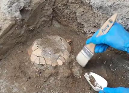 Pompei, dagli scavi una tartaruga di 2000 anni fa con il suo fragile uovo