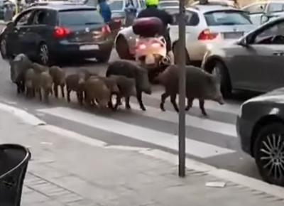 Senza titolo 3