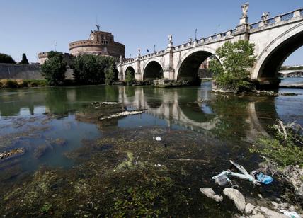Siccità, il Lazio resta senza acqua: Zingaretti dichiara lo stato di calamità