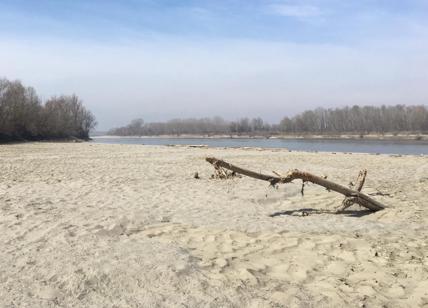 Il Delta del Po è sempre più salato: sospese le irrigazioni