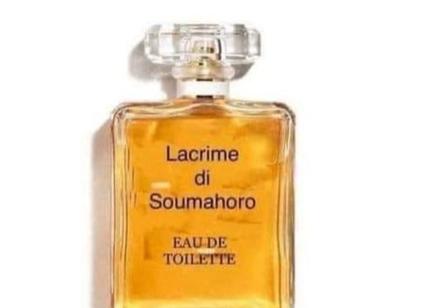 "Lacrime di Aboubakar Soumahoro": il caso diventa un profumo. Ironia web