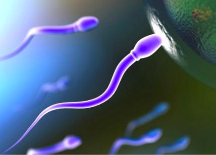 Sperma umano, ecco il business del futuro: la riproduzione della vita