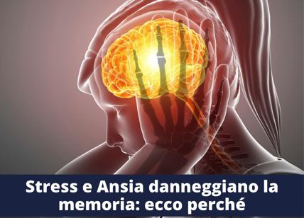 Stress e ansia danneggiano la memoria: ecco perché