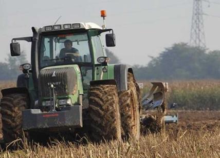 69enne muore colpito da un albero: guidava un mezzo agricolo