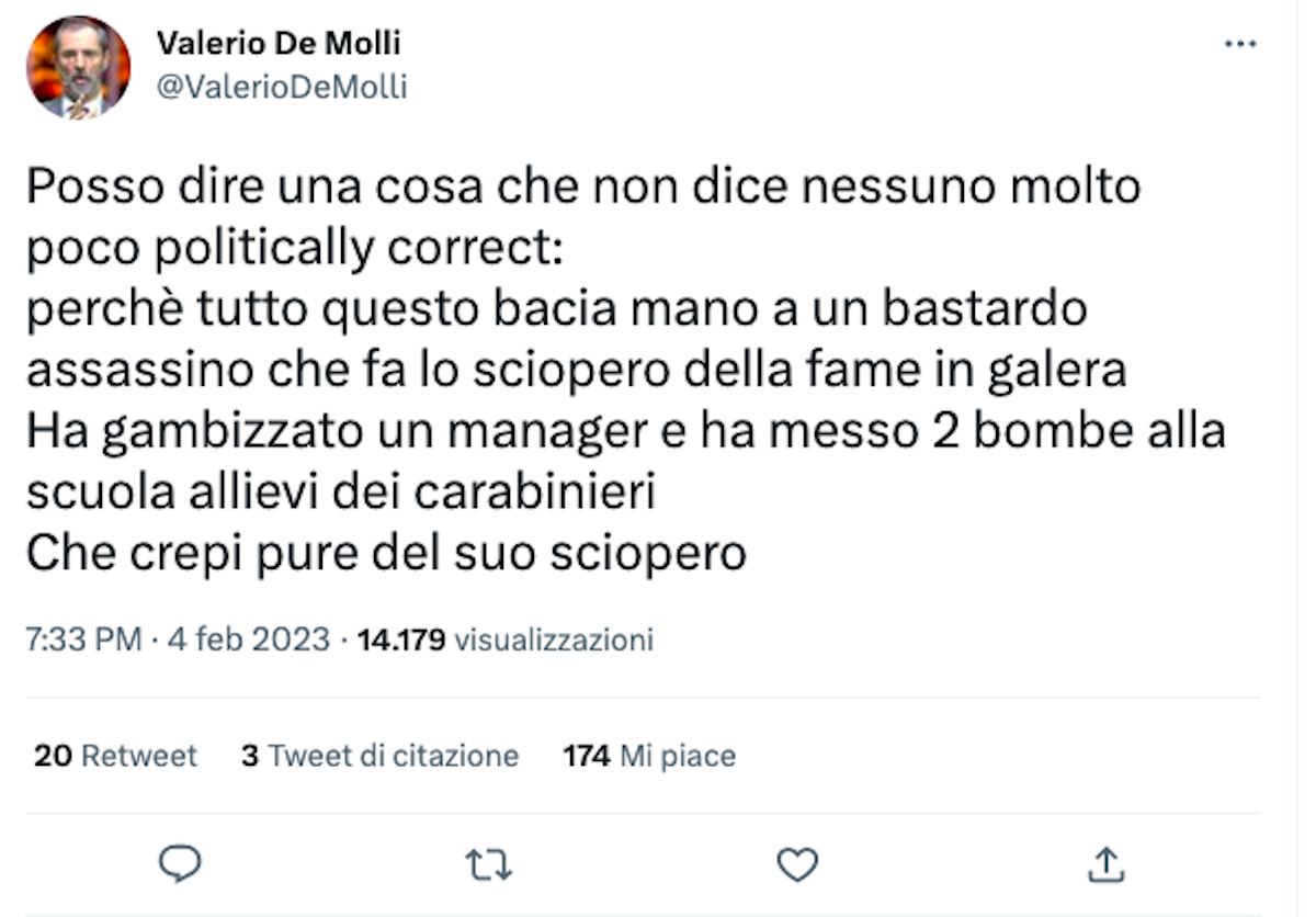 tweet de molli tweet de molli