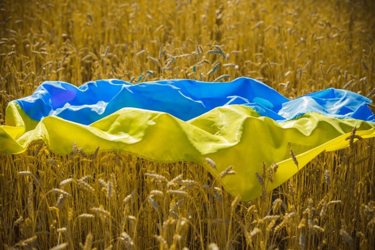 Ucraina.grano