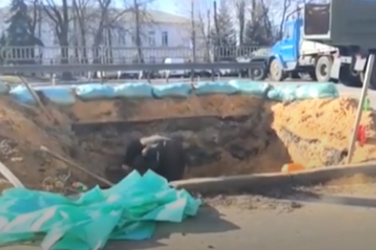 ucraina kiev trincea