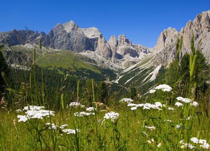 Precipita in un dirupo in Val di Fassa, muore escursionista milanese