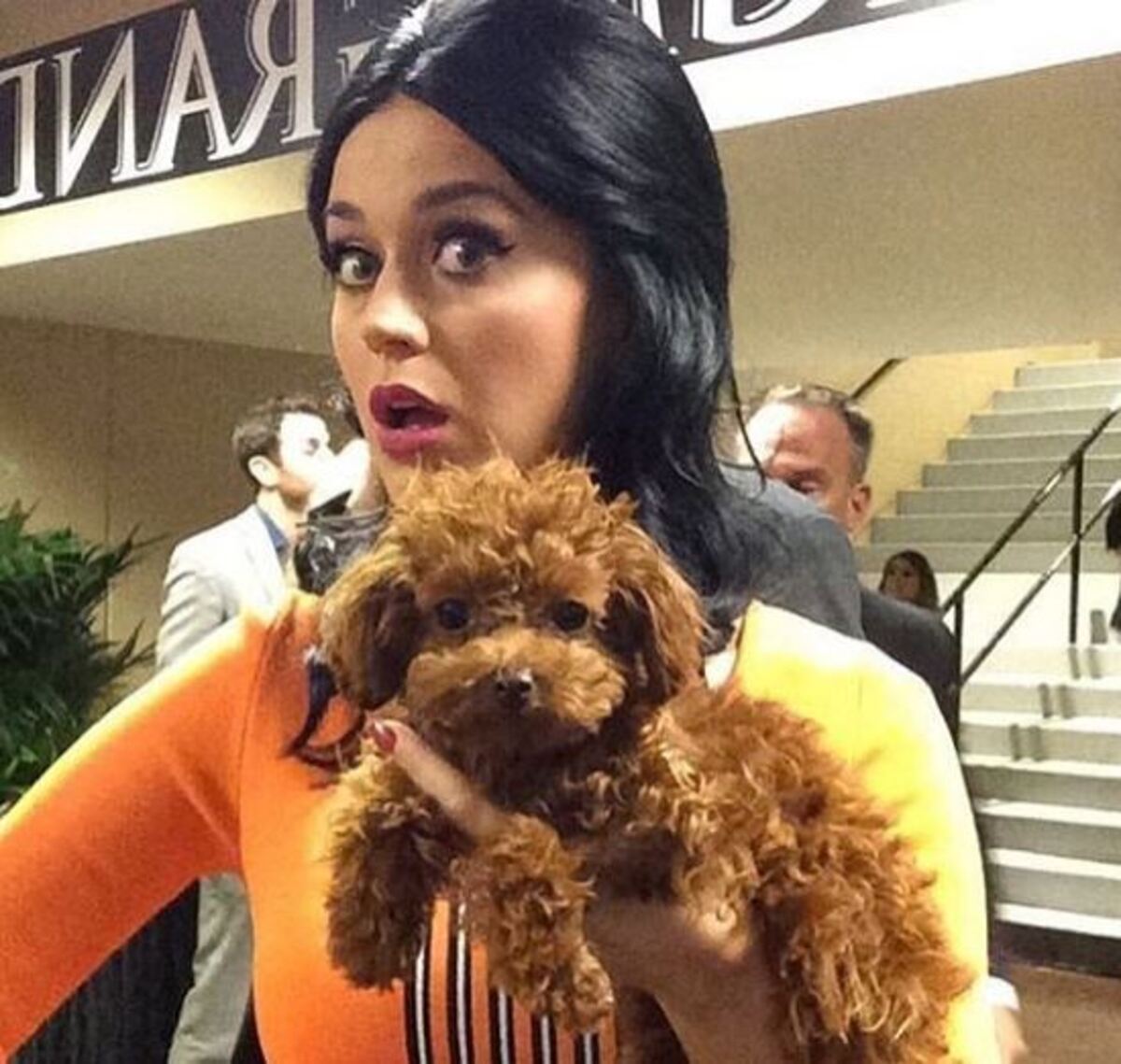 Katy Perry Katy Perry