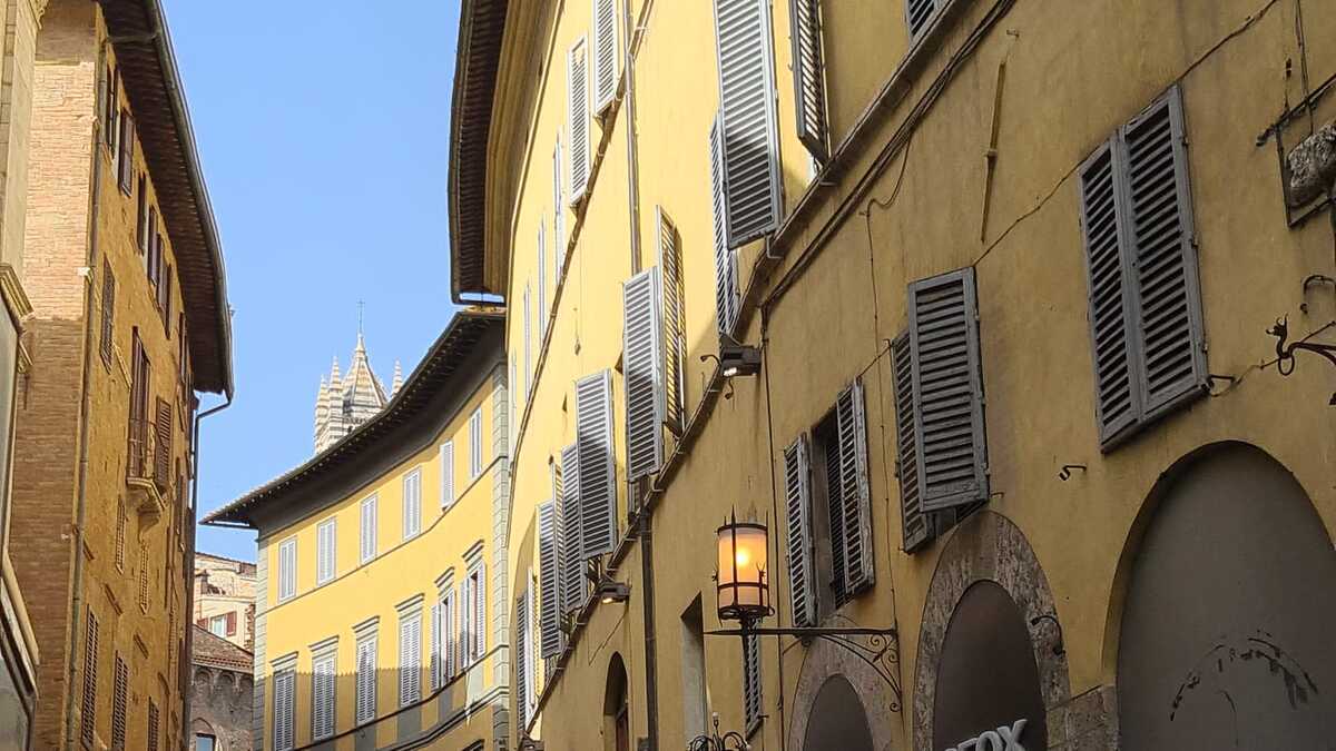 siena lights on