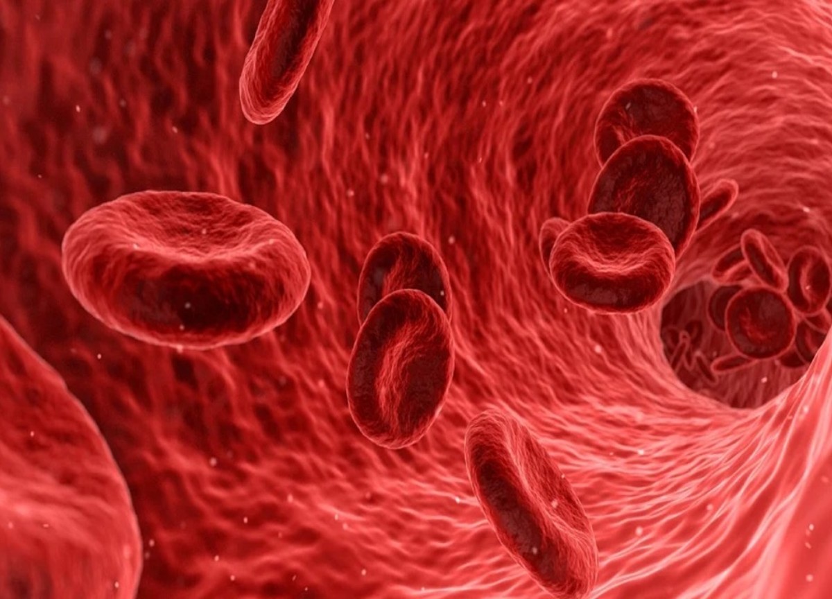 Health, the blood protein that predicts the risk of cancer and heart attack