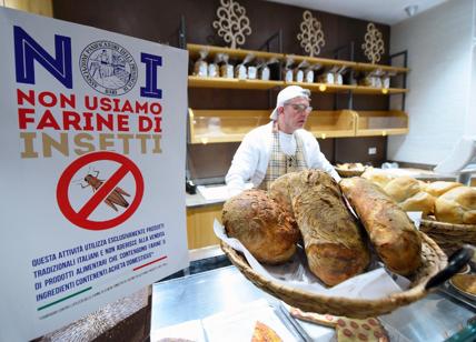 Farine di insetti? Non sicure dal punto di vista nutrizionale. Ecco i rischi