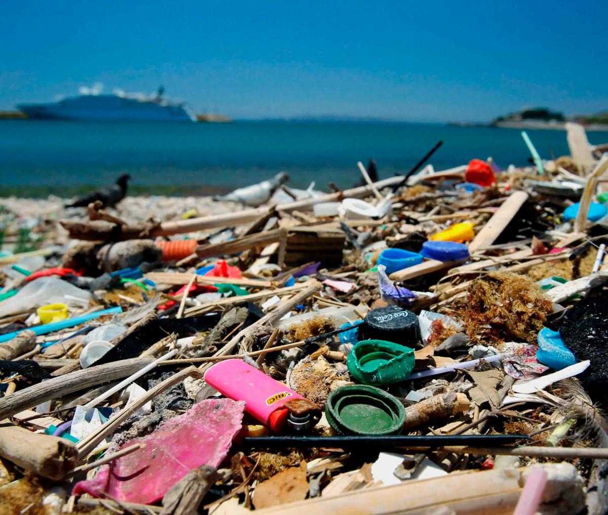 Health, do we eat too much plastic from the sea?  Many truths and many fake news