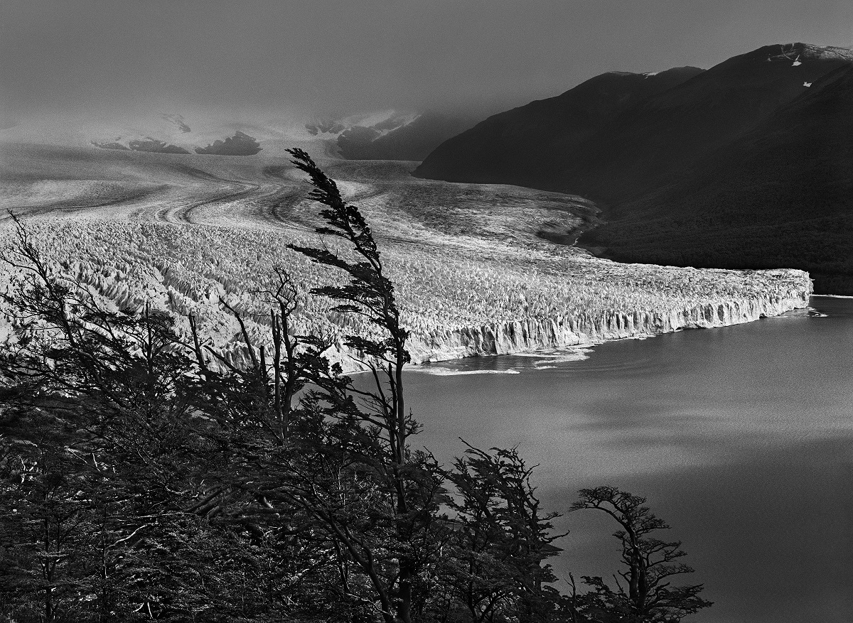 Le glacier Perito Moreno, de 30 kilomètres de long et 700 mètres d’épaisseur, est l’un des quarante-huit alimentés par le champ de glace Sud de Patagonie, troisième réserve mondiale d’eau douce. Patagonie argentine. 2007. Photographie de ©Sebastião SALGADO