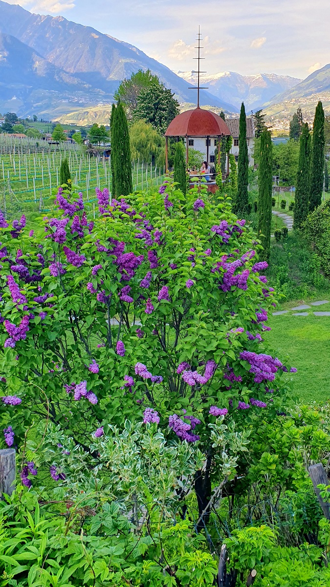 Giardini Kränzelhof a Cermes (Merano) Giardini Kränzelhof a Cermes (Merano)