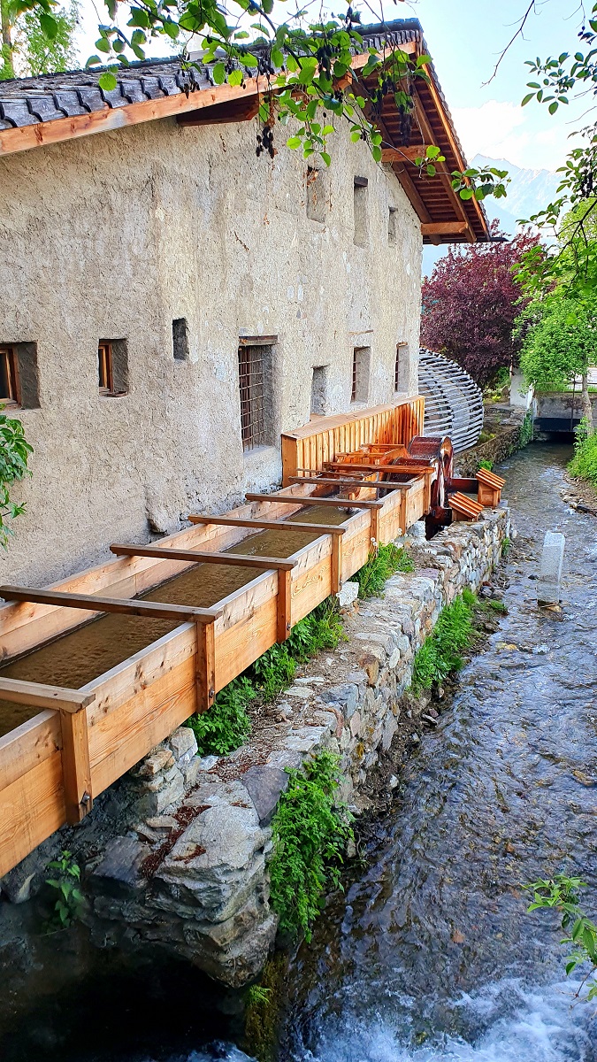 Tenuta Kränzelhof a Cermes (Merano) Tenuta Kränzelhof a Cermes (Merano)