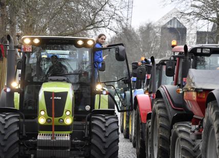 Pac/ Ingresso di Kiev in Ue, l'agricoltura trema: l'Italia perderebbe 1,4mld