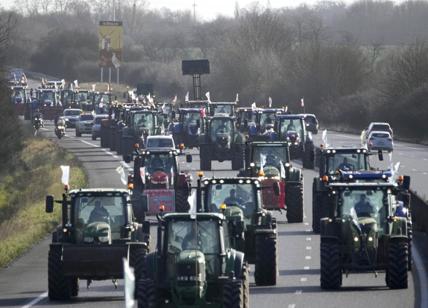 Proteste agricoltori, attesa l'1/02 la proposta Ue per frenare le rivolte