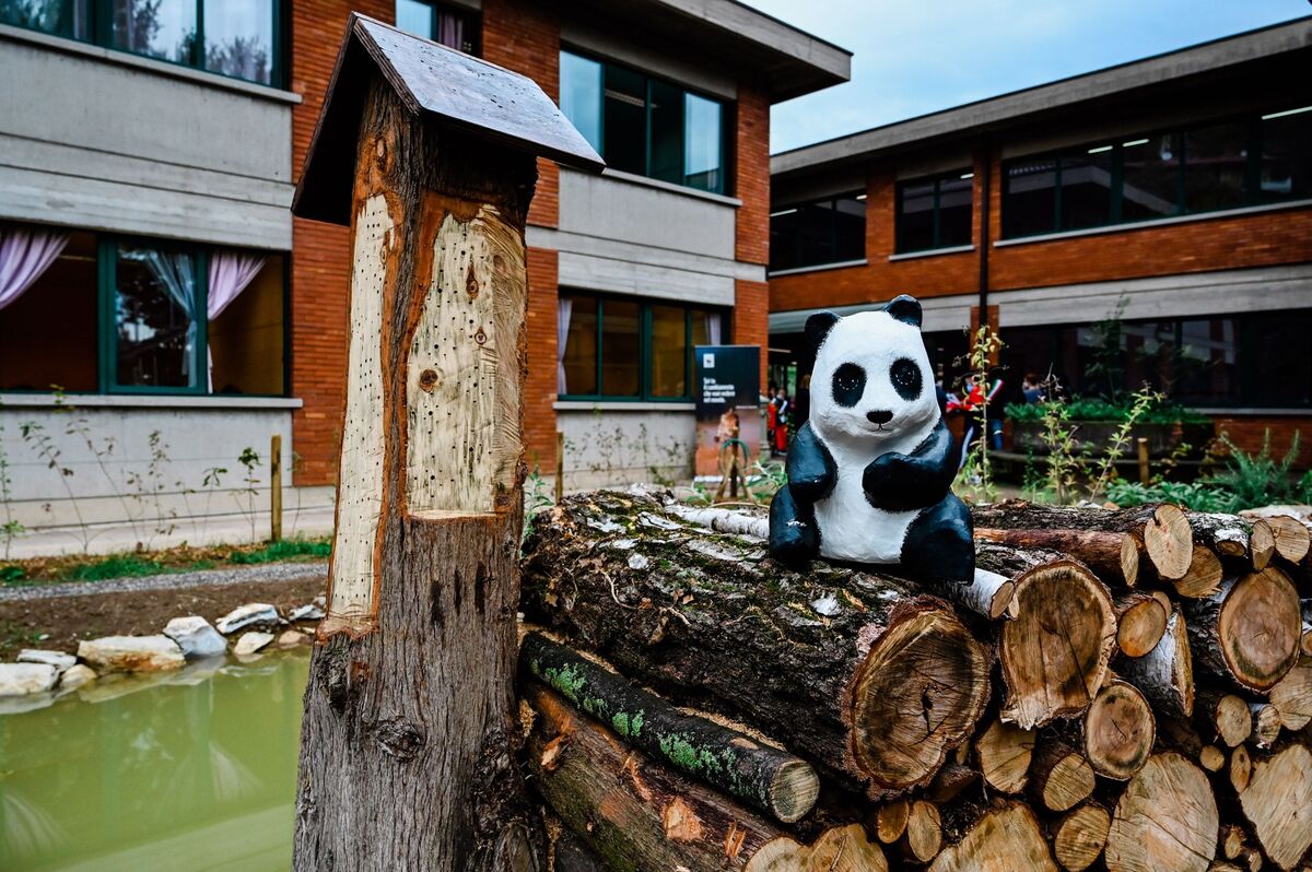WWF, al via “Urban Nature” per incentivare il verde in città
