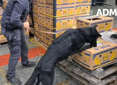 Sequestro cocaina Gioia Tauro