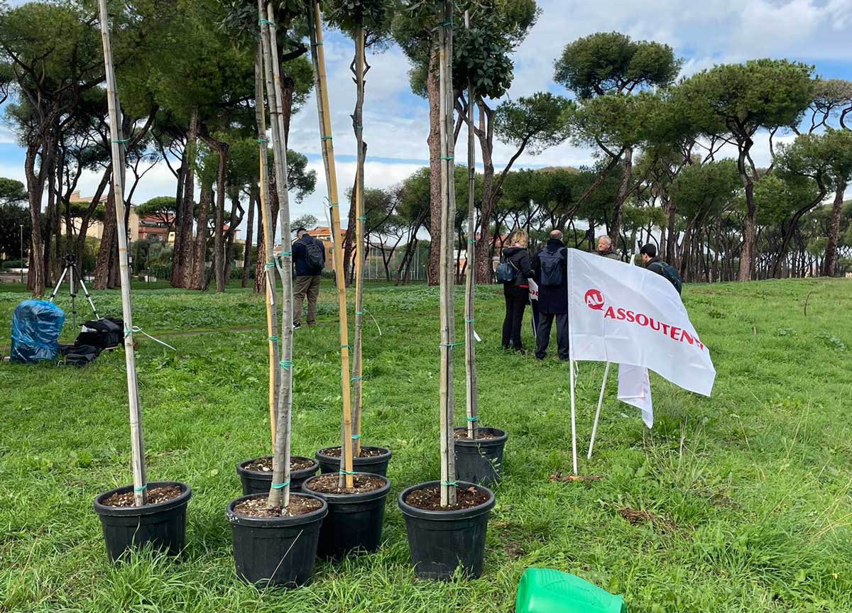 La piantumazione degli alberi al Pineto La piantumazione degli alberi al Pineto