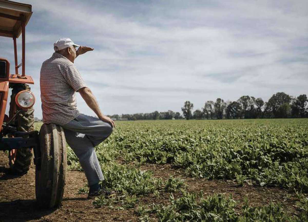 Agricoltura a rischio Agricoltura a rischio