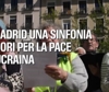A Madrid l'emozione dei cori per la pace in Ucraina
