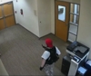 Strage in una scuola elementare a Nashville, ex alunna spara